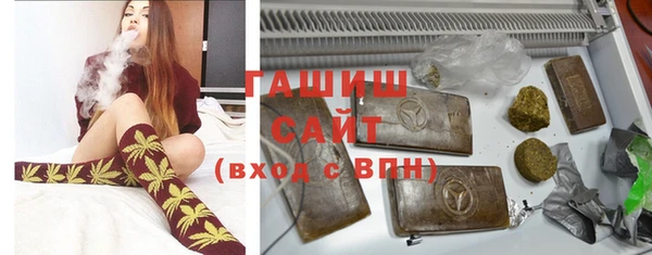 прущие грибы Инта