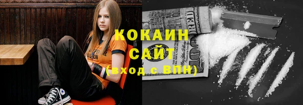 прущие грибы Инта