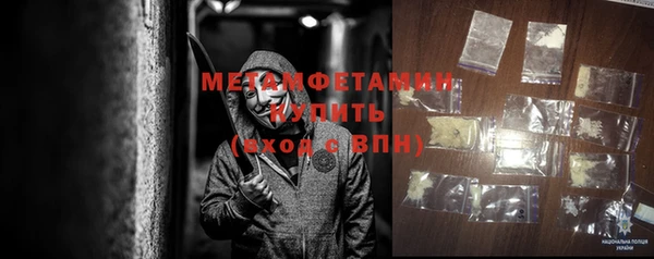 прущие грибы Инта