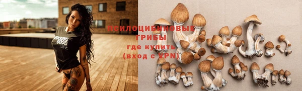 кокаин премиум Инсар