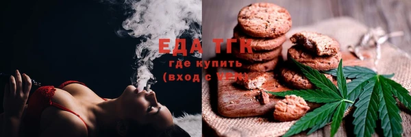 прущие грибы Инта