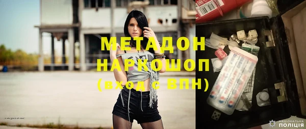 прущие грибы Инта