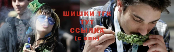 прущие грибы Инта