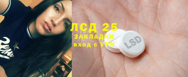 прущие грибы Инта