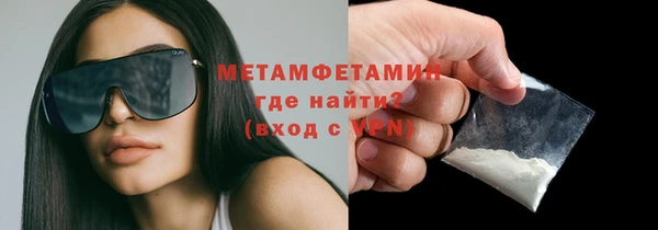 прущие грибы Инта