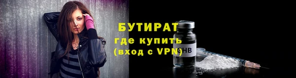 прущие грибы Инта