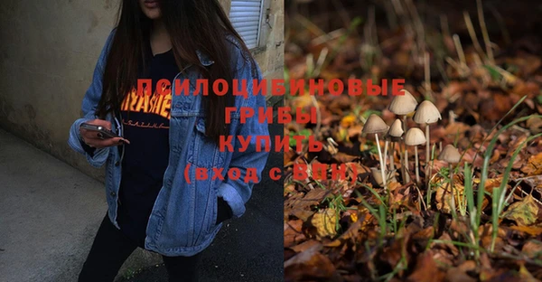 кокаин премиум Инсар