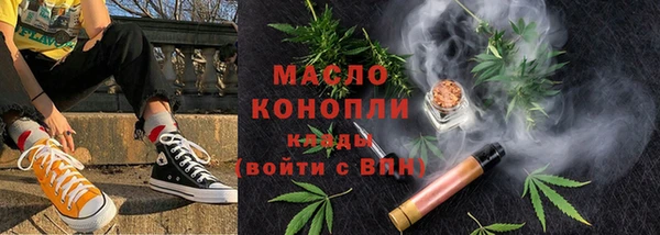 прущие грибы Инта
