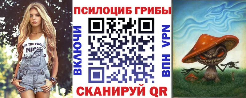 Галлюциногенные грибы мицелий  Купить закладки  Дубна 